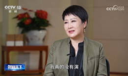 张凯丽演的电视剧,情感纠葛与人生抉择