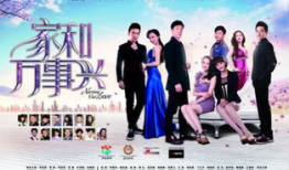 家和万事兴电视剧,温情演绎现代家庭和谐之道