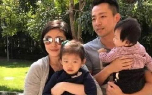 娱乐吃瓜 汪小菲小说,汪小菲的娱乐吃瓜小说